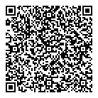 QR код "Динамо"