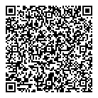 QR код "ДНС"