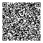 QR код "Белый лебедь"