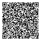 QR код "Нефертити"