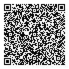 QR код "Игрушка"