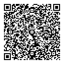 QR код "Crazy Style"