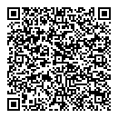 QR код "БлинБерри"
