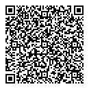 QR код "Megapolis"