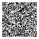 QR код "Домино"