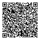 QR код "Blesk InCare"