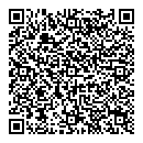 QR код "Созвездие"