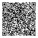 QR код "Алиса"