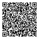 QR код "Professional"