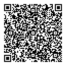 QR код "Professional"