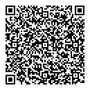 QR код "Toyota. Audi. VW"