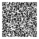 QR код "ДНС"