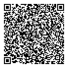 QR код "ДНС"