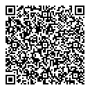 QR код "Филинс"