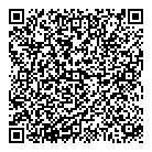 QR код "Импульс 55 rus"
