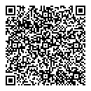 QR код "Блеск"