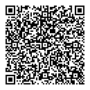 QR код "Auto paint"