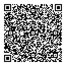 QR код "100"
