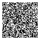 QR код "Raznoe55.ru"