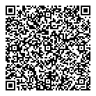 QR код "Метеор"