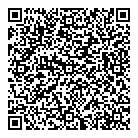 QR код "Метеор"