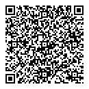 QR код "Звездный"