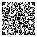 QR код "Блеск"