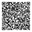 QR код "Пчёлки"