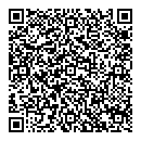 QR код "17"