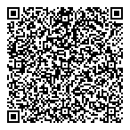 QR код "DanVex"