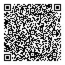 QR код "Лицей №145"