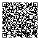QR код "Record"