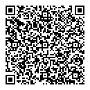 QR код "Глобус"