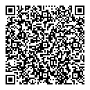 QR код "Modern"