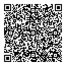 QR код "Metropolis"