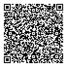 QR код "Рыжий кот"