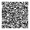 QR код "D-style"