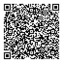 QR код "Викинг"
