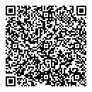 QR код "Фемида"
