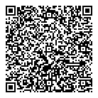 QR код "Раса-лила"