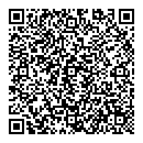 QR код "DS"