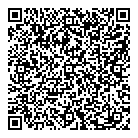 QR код "Art Vinyl"