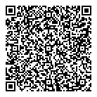 QR код "Art Vinyl"