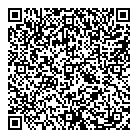 QR код "Art Vinyl"