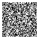 QR код "Art Vinyl"