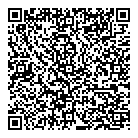 QR код "Art Vinyl"