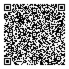 QR код "Art Vinyl"