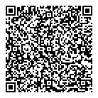 QR код "Art Vinyl"