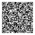 QR код "Геометрикс"