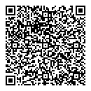QR код "Тесла"